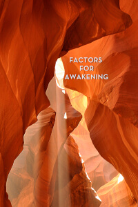 Factors for Awakening thumbnail