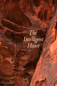 Intelligent Heart thumbnail