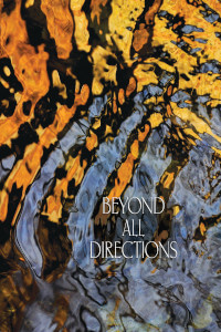 Beyond All Directions thumbnail